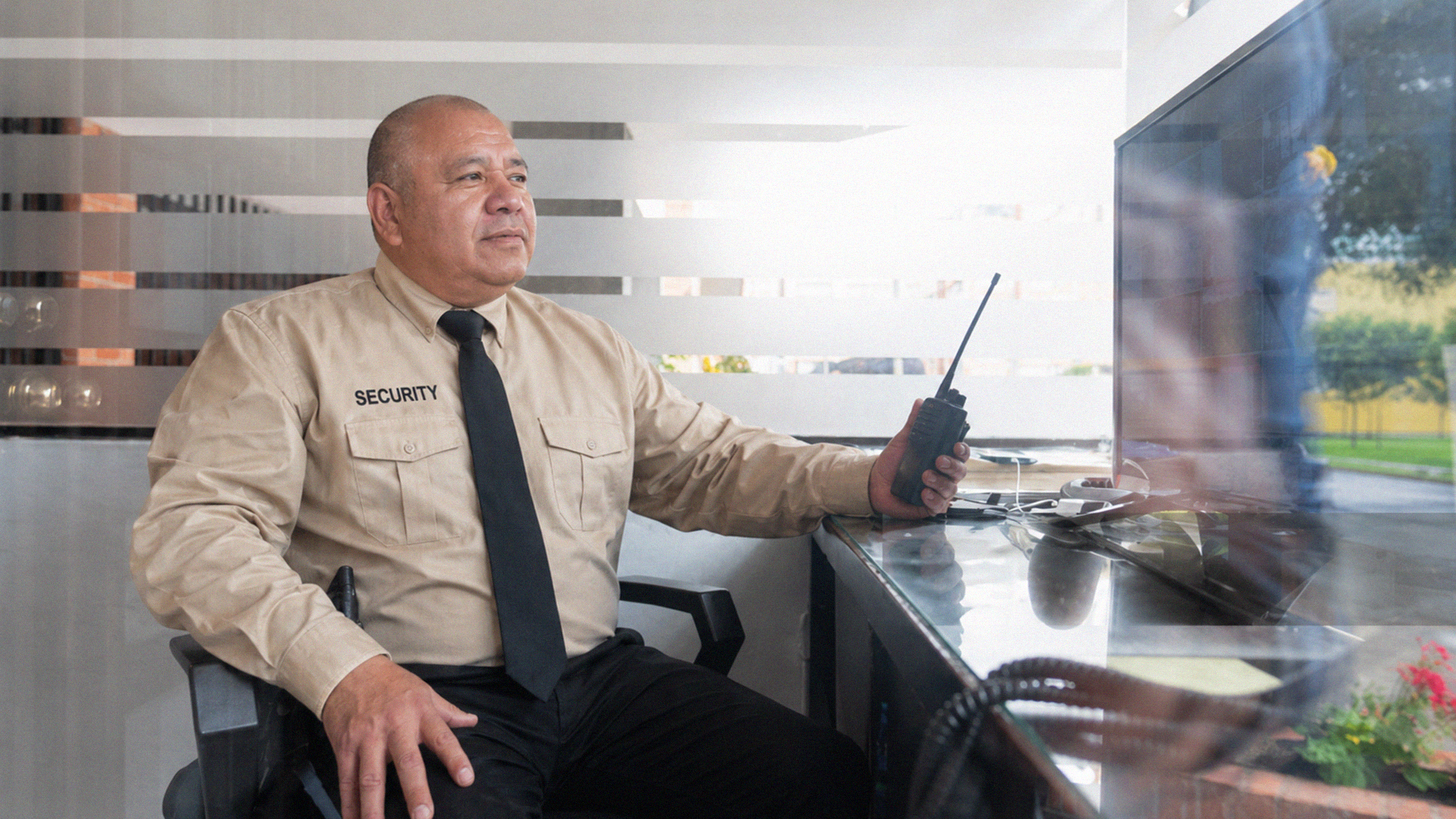 Commercial security